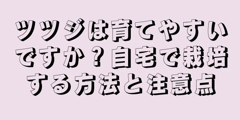 ツツジは育てやすいですか？自宅で栽培する方法と注意点