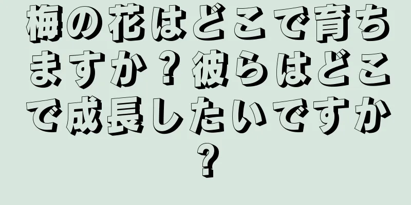 梅の花はどこで育ちますか？彼らはどこで成長したいですか?