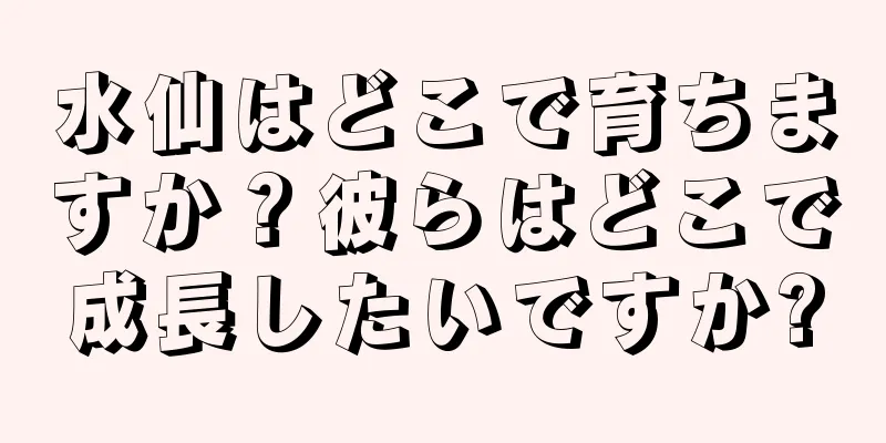 水仙はどこで育ちますか？彼らはどこで成長したいですか?