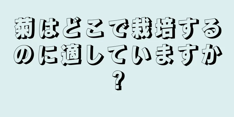菊はどこで栽培するのに適していますか?