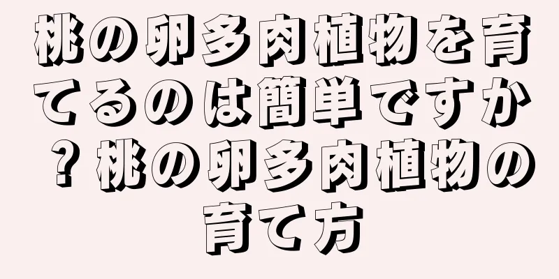 桃の卵多肉植物を育てるのは簡単ですか？桃の卵多肉植物の育て方