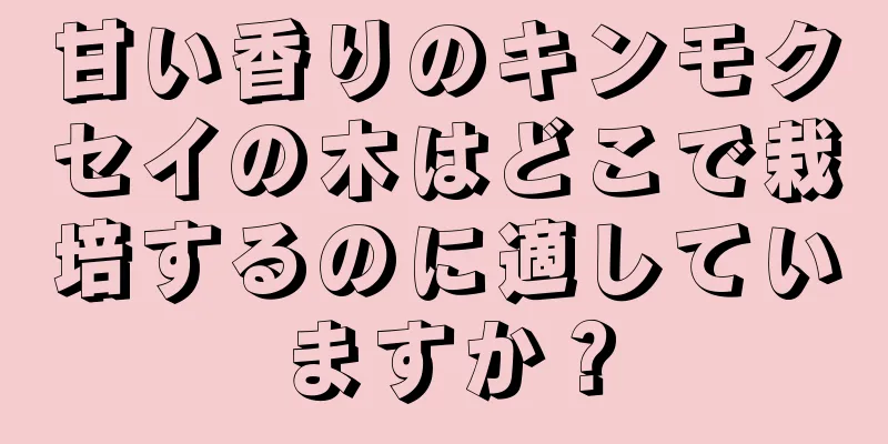 甘い香りのキンモクセイの木はどこで栽培するのに適していますか？