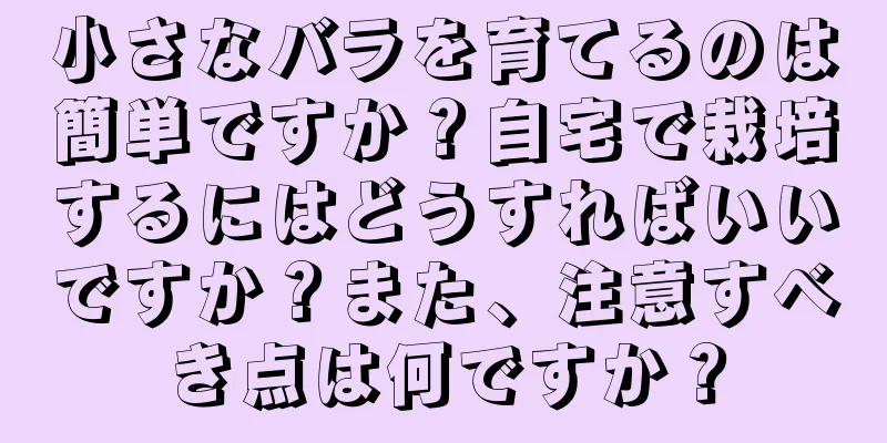 小さなバラを育てるのは簡単ですか？自宅で栽培するにはどうすればいいですか？また、注意すべき点は何ですか？