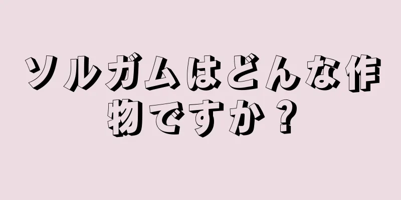 ソルガムはどんな作物ですか？