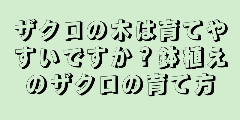 ザクロの木は育てやすいですか？鉢植えのザクロの育て方