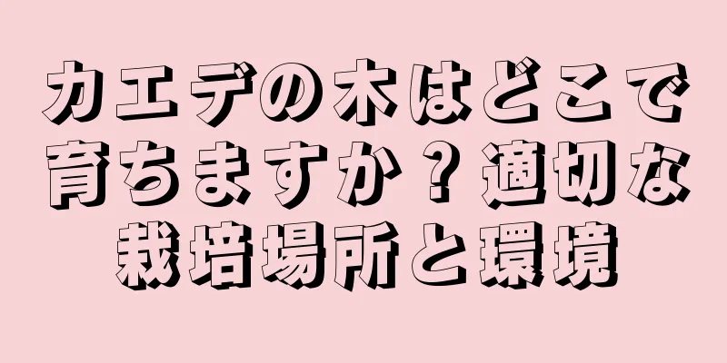 カエデの木はどこで育ちますか？適切な栽培場所と環境