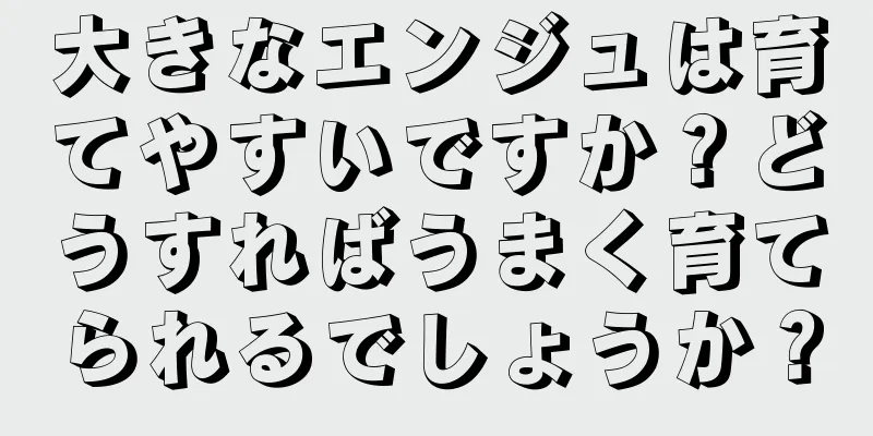 大きなエンジュは育てやすいですか？どうすればうまく育てられるでしょうか？