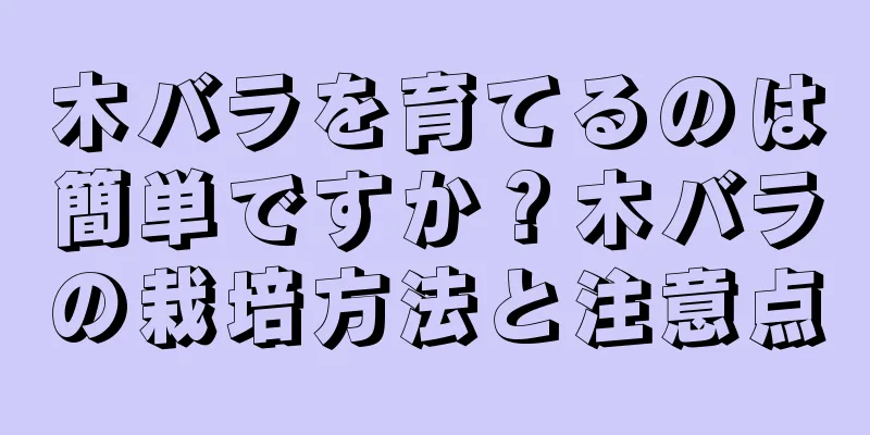 木バラを育てるのは簡単ですか？木バラの栽培方法と注意点