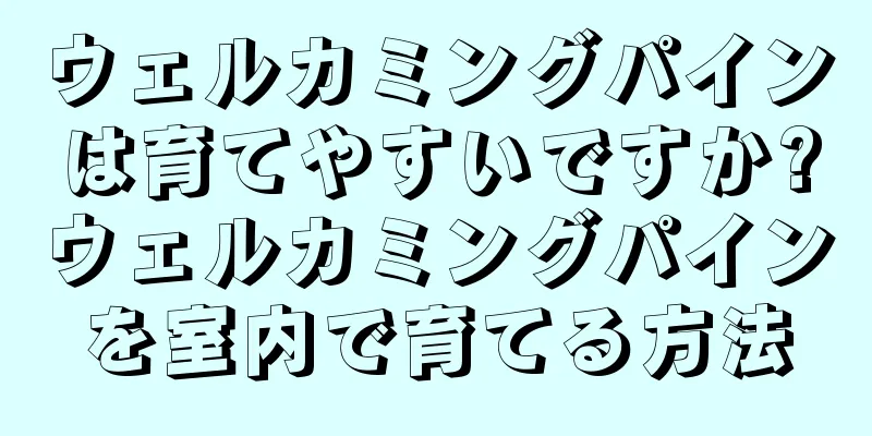 ウェルカミングパインは育てやすいですか?ウェルカミングパインを室内で育てる方法