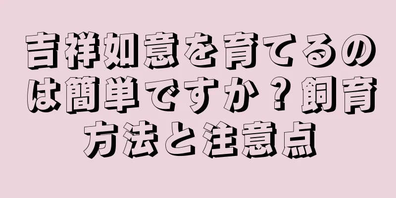吉祥如意を育てるのは簡単ですか？飼育方法と注意点