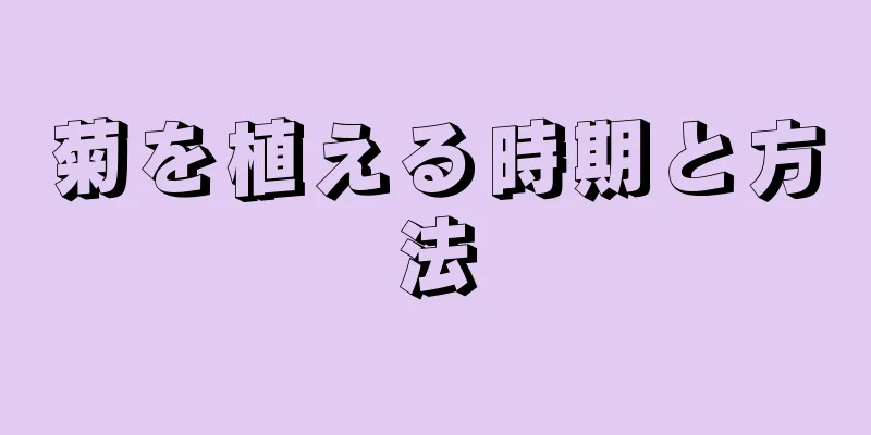 菊を植える時期と方法