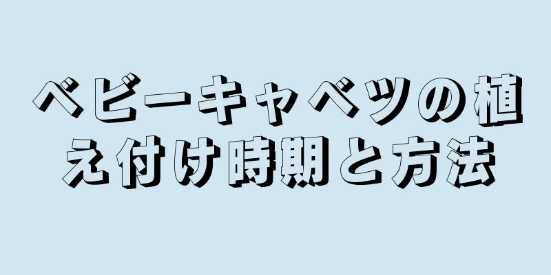 ベビーキャベツの植え付け時期と方法
