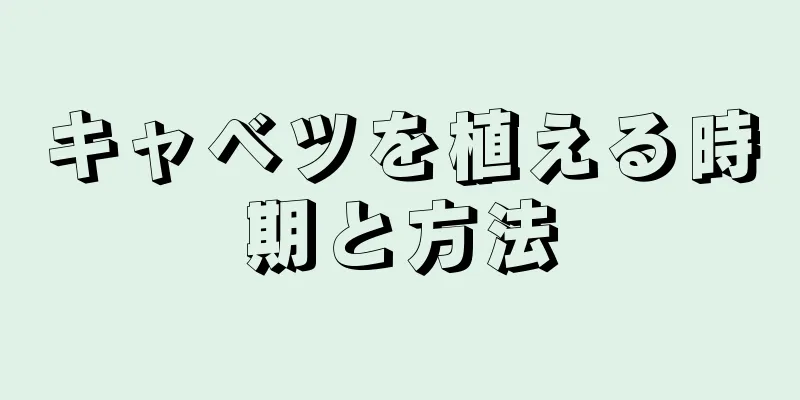 キャベツを植える時期と方法
