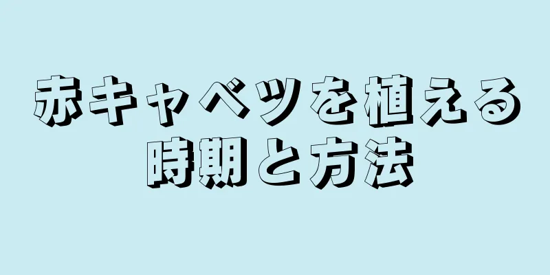 赤キャベツを植える時期と方法