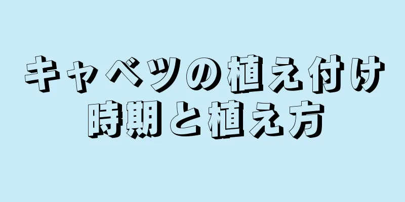 キャベツの植え付け時期と植え方