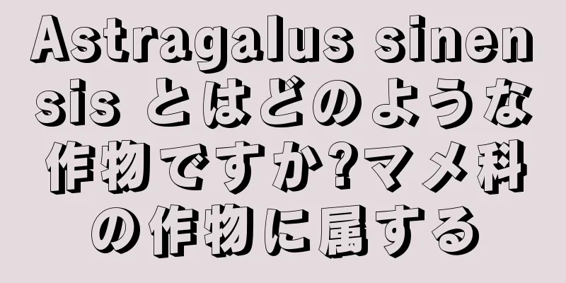 Astragalus sinensis とはどのような作物ですか?マメ科の作物に属する