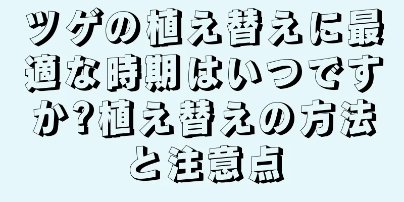 ツゲの植え替えに最適な時期はいつですか?植え替えの方法と注意点