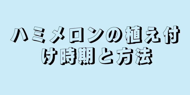 ハミメロンの植え付け時期と方法
