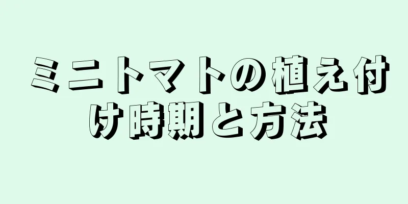 ミニトマトの植え付け時期と方法