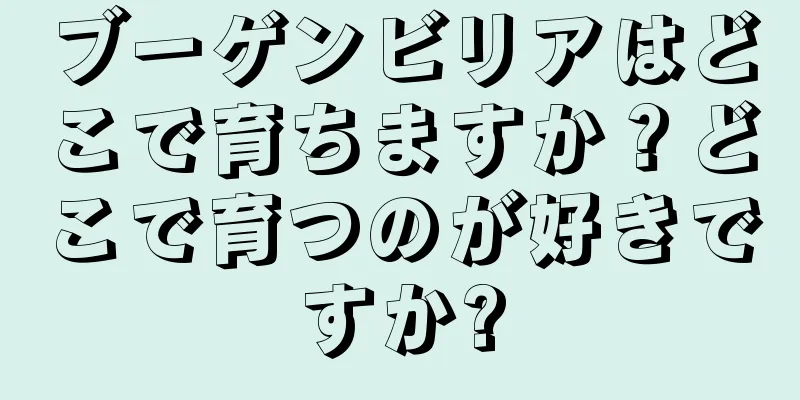 ブーゲンビリアはどこで育ちますか？どこで育つのが好きですか?