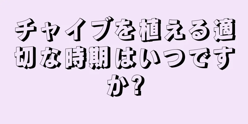 チャイブを植える適切な時期はいつですか?