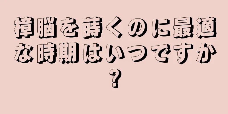 樟脳を蒔くのに最適な時期はいつですか?