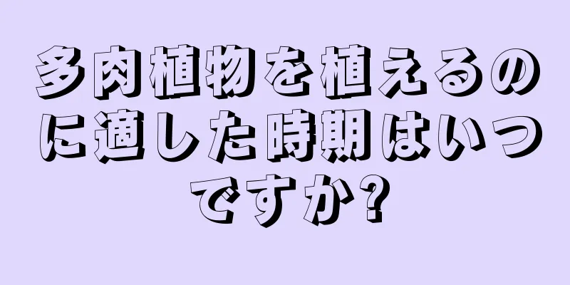 多肉植物を植えるのに適した時期はいつですか?