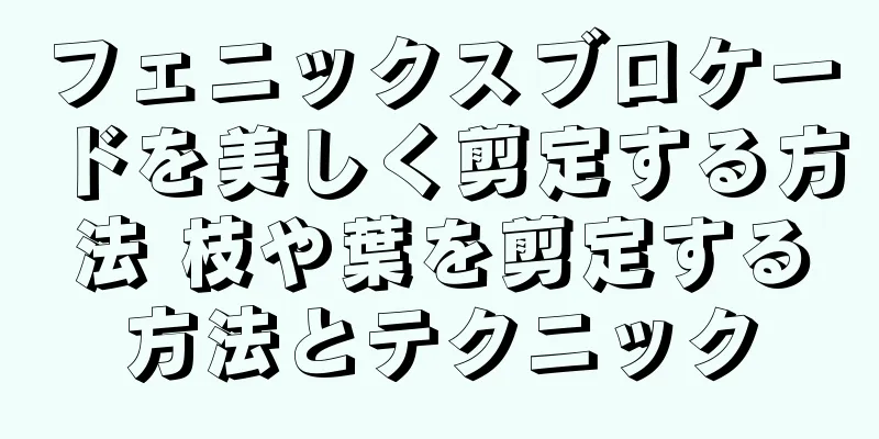 フェニックスブロケードを美しく剪定する方法 枝や葉を剪定する方法とテクニック