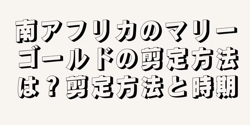 南アフリカのマリーゴールドの剪定方法は？剪定方法と時期