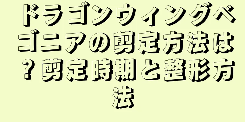 ドラゴンウィングベゴニアの剪定方法は？剪定時期と整形方法