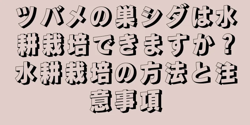 ツバメの巣シダは水耕栽培できますか？水耕栽培の方法と注意事項