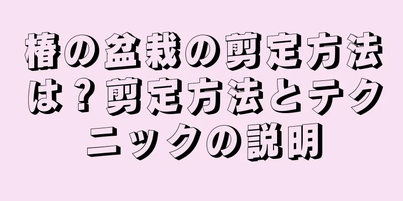 椿の盆栽の剪定方法は？剪定方法とテクニックの説明