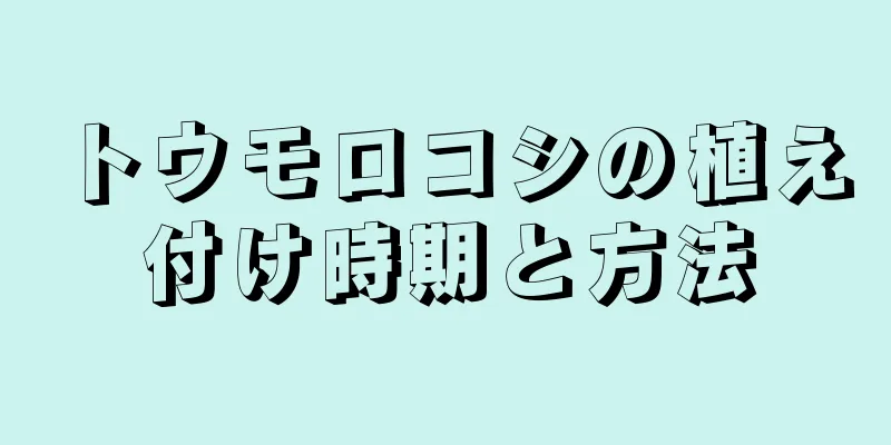 トウモロコシの植え付け時期と方法