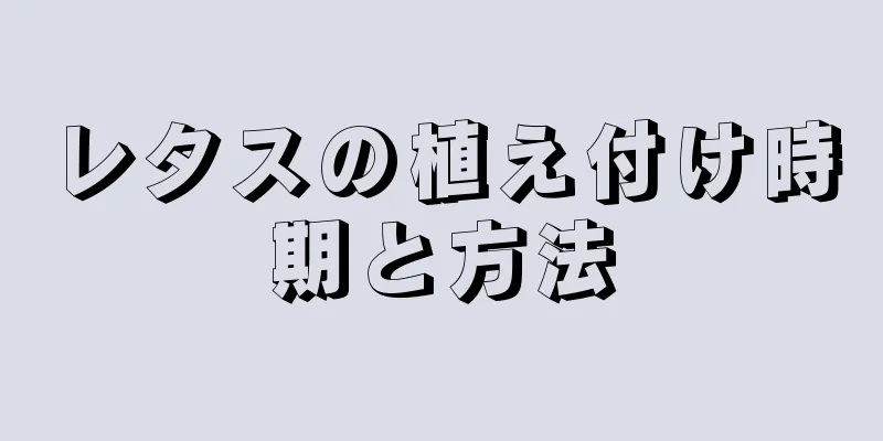 レタスの植え付け時期と方法