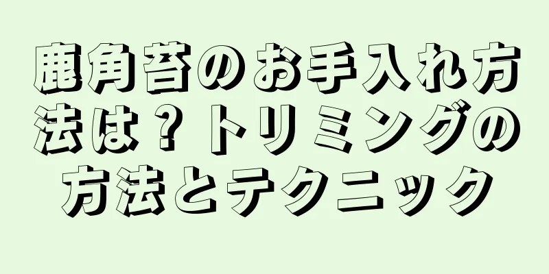 鹿角苔のお手入れ方法は？トリミングの方法とテクニック