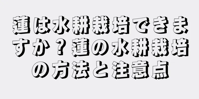蓮は水耕栽培できますか？蓮の水耕栽培の方法と注意点