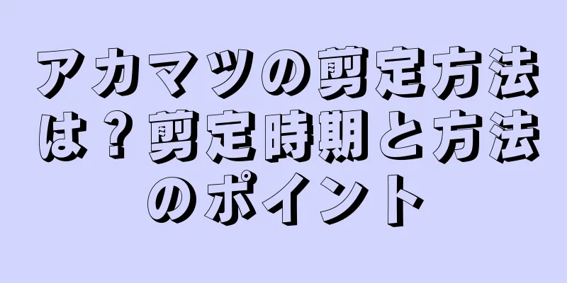 アカマツの剪定方法は？剪定時期と方法のポイント