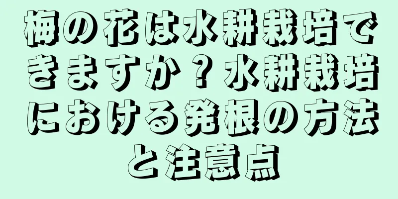 梅の花は水耕栽培できますか？水耕栽培における発根の方法と注意点