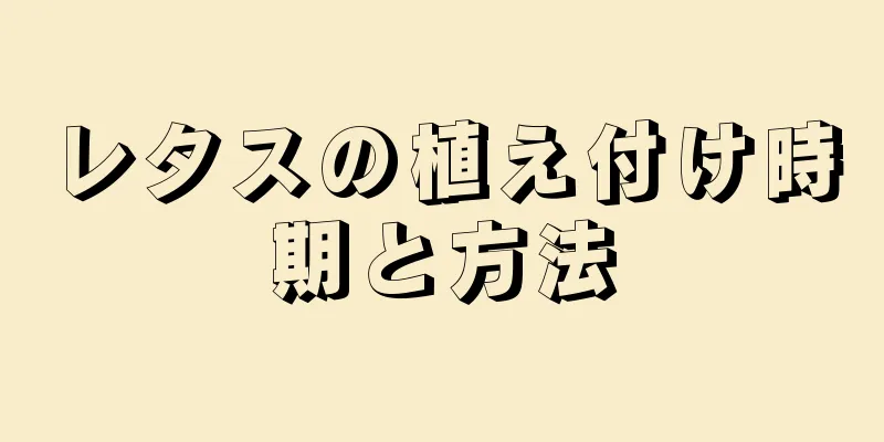 レタスの植え付け時期と方法