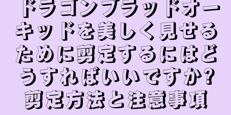 ドラゴンブラッドオーキッドを美しく見せるために剪定するにはどうすればいいですか?剪定方法と注意事項