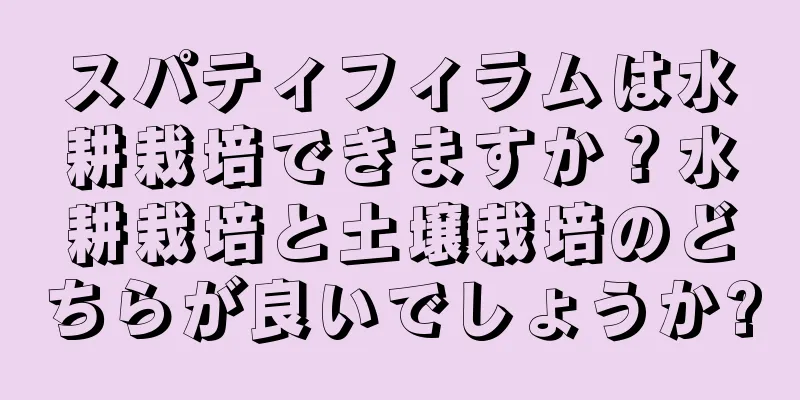スパティフィラムは水耕栽培できますか？水耕栽培と土壌栽培のどちらが良いでしょうか?