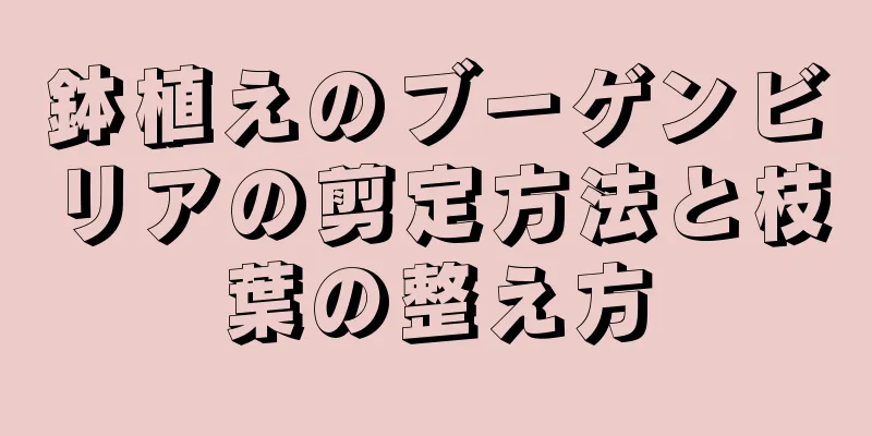 鉢植えのブーゲンビリアの剪定方法と枝葉の整え方