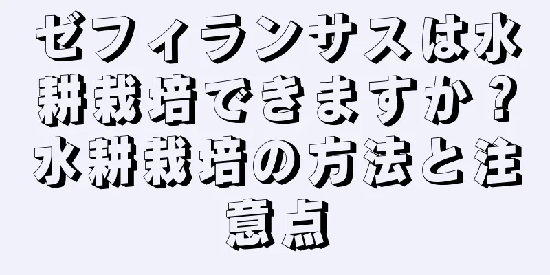 ゼフィランサスは水耕栽培できますか？水耕栽培の方法と注意点