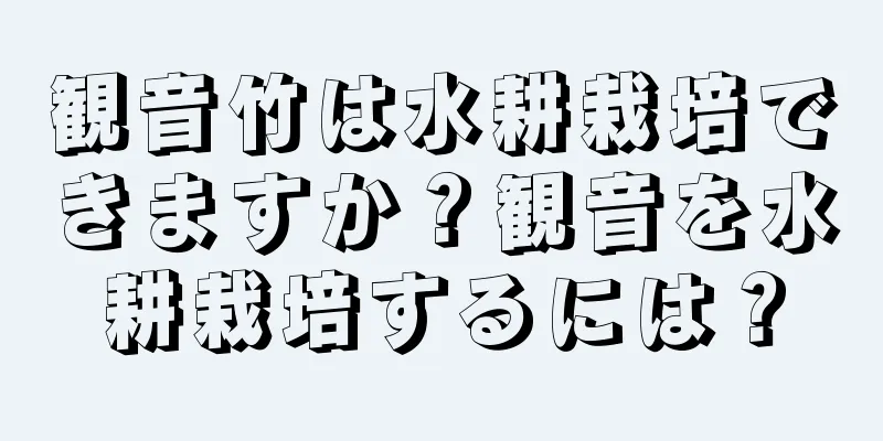 観音竹は水耕栽培できますか？観音を水耕栽培するには？