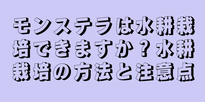 モンステラは水耕栽培できますか？水耕栽培の方法と注意点