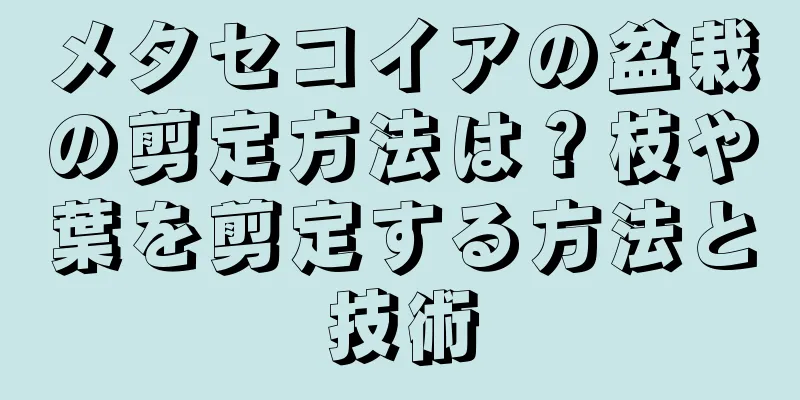 メタセコイアの盆栽の剪定方法は？枝や葉を剪定する方法と技術
