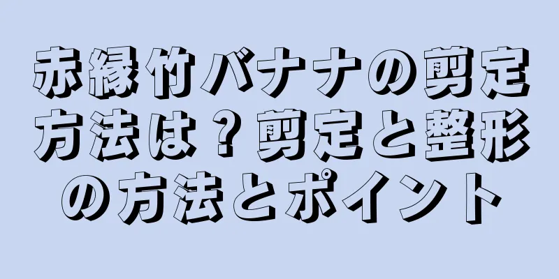 赤縁竹バナナの剪定方法は？剪定と整形の方法とポイント