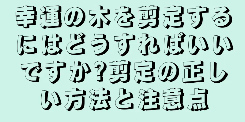 幸運の木を剪定するにはどうすればいいですか?剪定の正しい方法と注意点