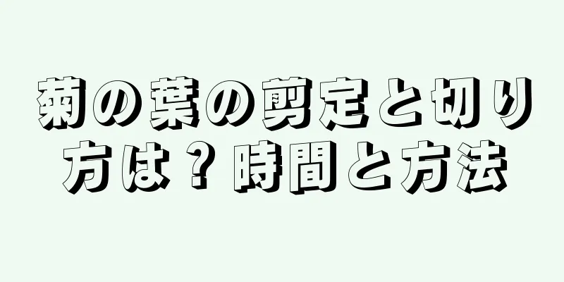 菊の葉の剪定と切り方は？時間と方法