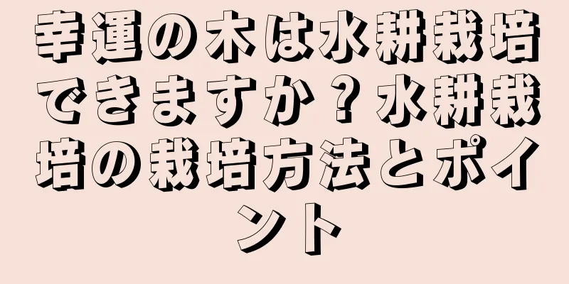 幸運の木は水耕栽培できますか？水耕栽培の栽培方法とポイント